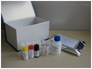 病毒性出血败血症病毒（VHSV）核酸检测试剂盒
