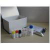 细胞肿大病毒属虹彩病毒（ISKNV/RSIV）核酸检测试剂盒