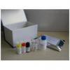 鲤春病毒（SVCV）核酸检测试剂盒