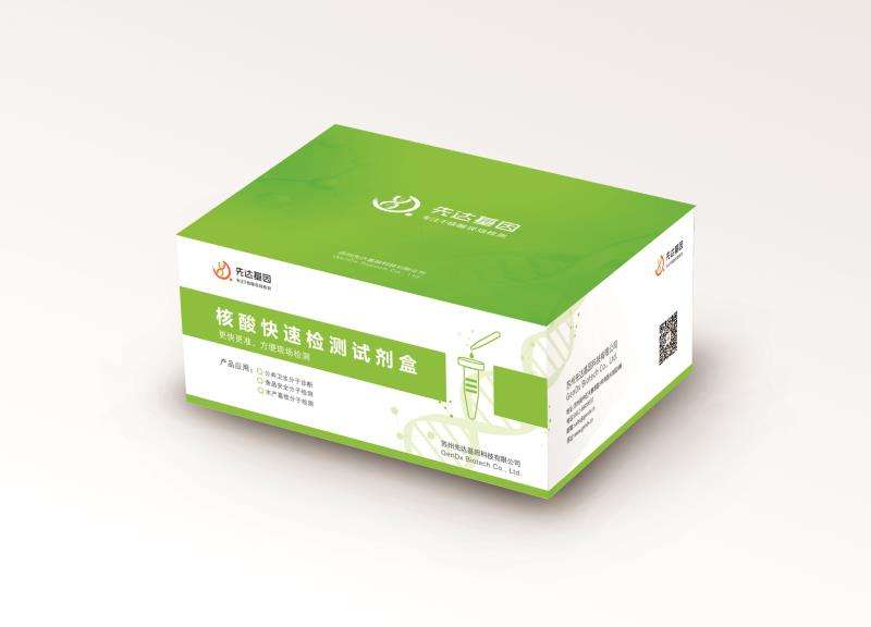 猪细小病毒（PPV）恒温快速检测试剂盒