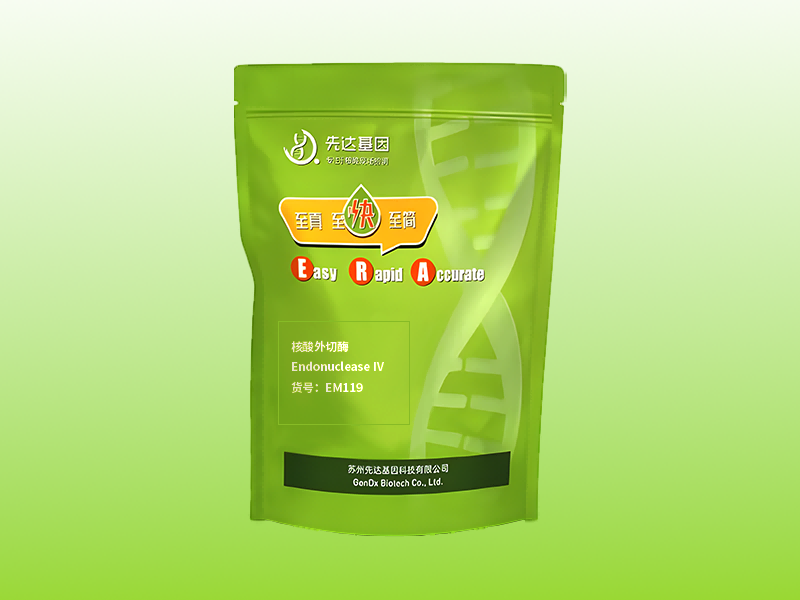 核酸外切酶   Endonuclease Ⅳ