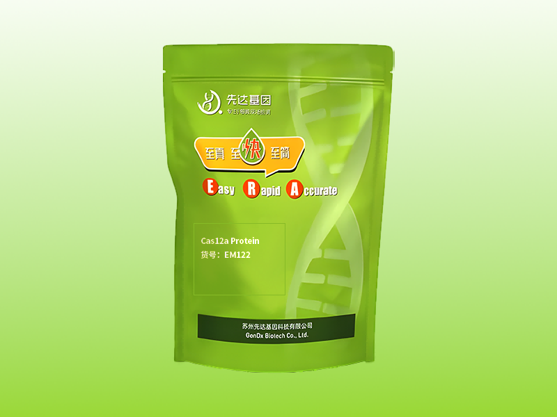 Cas12a Protein (0.5mg mL)