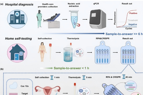 一“翻”定音，精准到家：先进微流控技术结合先达基因ERA技术，实现HPV多重检